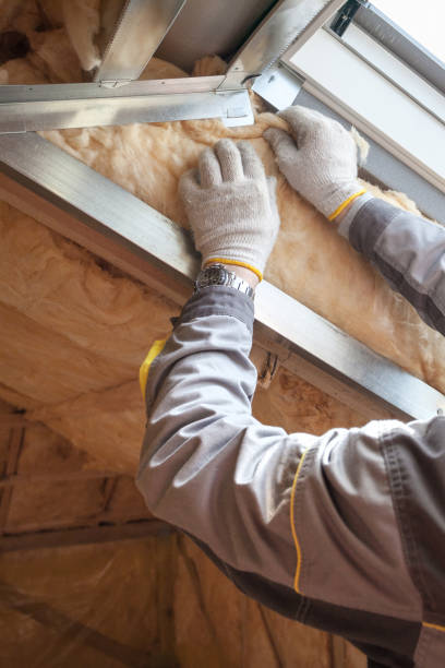 Best Cellulose Insulation in Fremont, IN
