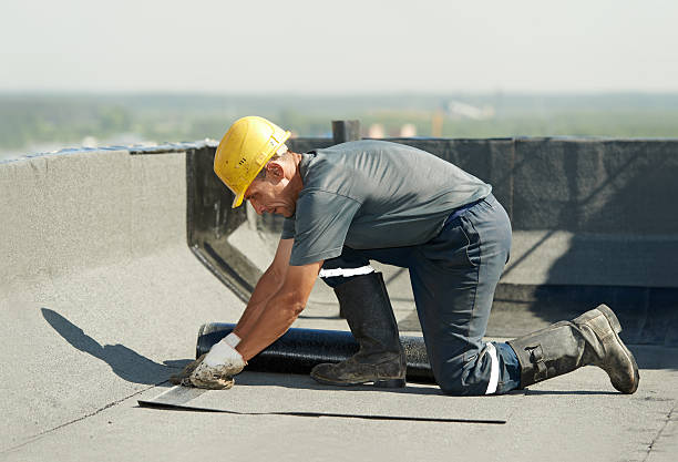 Best Cellulose Insulation in Fremont, IN